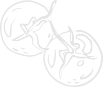 shape12